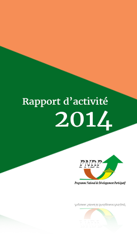 Rapport annuel des activités du PNDP Exercice 2014