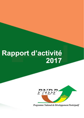 Rapport d'activité 2017 
